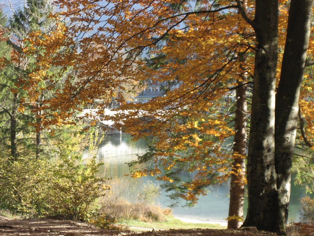 Apartments Pod Rodico Bohinjska Bistrica Oda fotoğraf